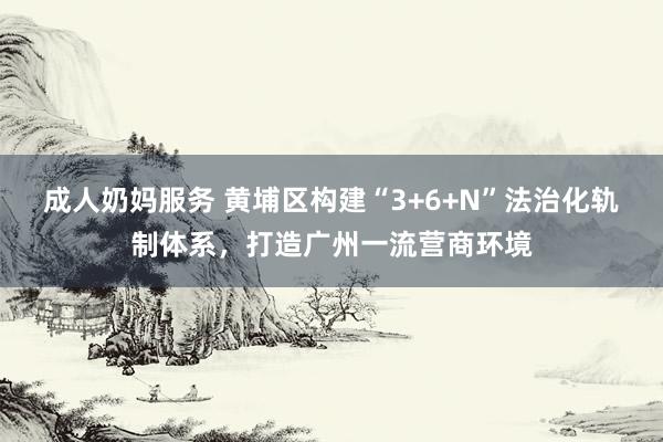 成人奶妈服务 黄埔区构建“3+6+N”法治化轨制体系，打造广州一流营商环境