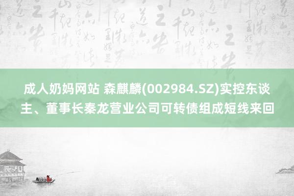 成人奶妈网站 森麒麟(002984.SZ)实控东谈主、董事长秦龙营业公司可转债组成短线来回