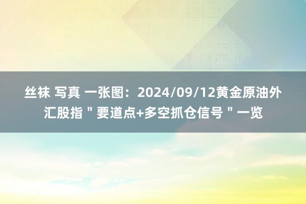 丝袜 写真 一张图：2024/09/12黄金原油外汇股指＂要道点+多空抓仓信号＂一览