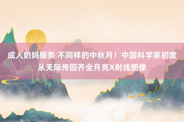 成人奶妈服务 不同样的中秋月！中国科学家初度从天际传回齐全月亮X射线图像