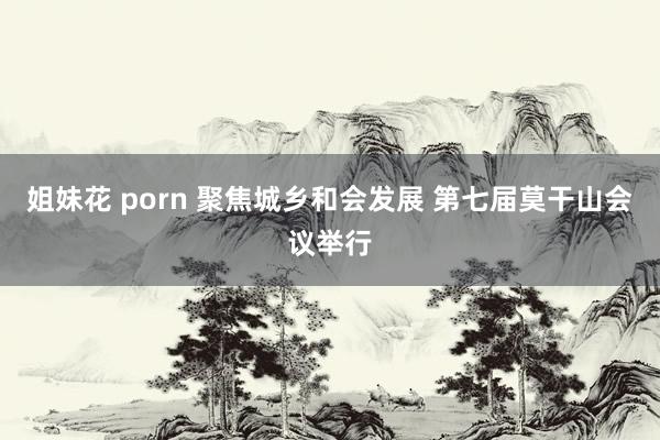 姐妹花 porn 聚焦城乡和会发展 第七届莫干山会议举行