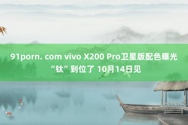 91porn. com vivo X200 Pro卫星版配色曝光 “钛”到位了 10月14日见