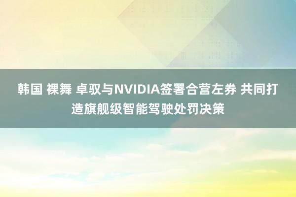 韩国 裸舞 卓驭与NVIDIA签署合营左券 共同打造旗舰级智能驾驶处罚决策