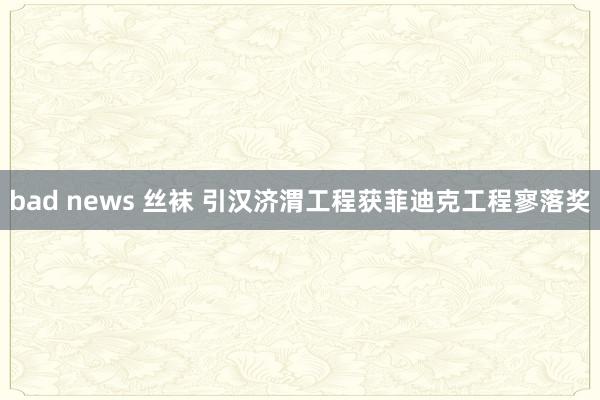 bad news 丝袜 引汉济渭工程获菲迪克工程寥落奖