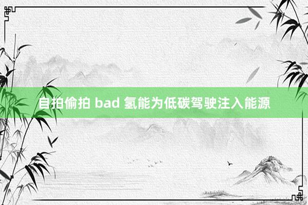 自拍偷拍 bad 氢能为低碳驾驶注入能源