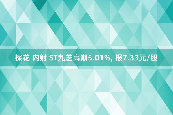 探花 内射 ST九芝高潮5.01%， 报7.33元/股