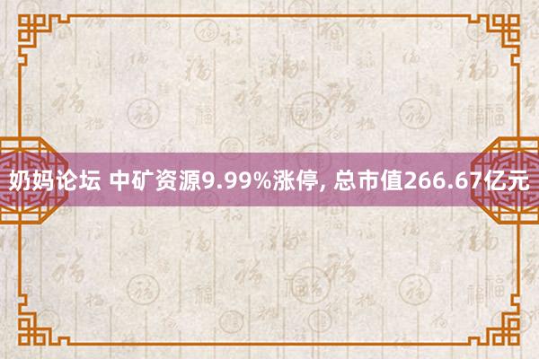 奶妈论坛 中矿资源9.99%涨停， 总市值266.67亿元