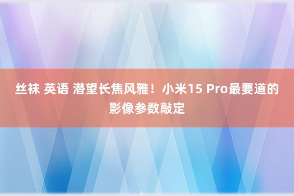 丝袜 英语 潜望长焦风雅！小米15 Pro最要道的影像参数敲定