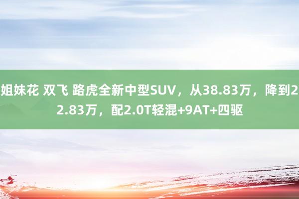 姐妹花 双飞 路虎全新中型SUV，从38.83万，降到22.83万，配2.0T轻混+9AT+四驱