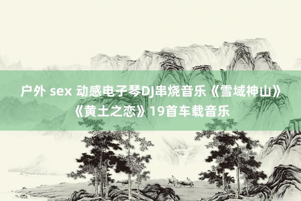 户外 sex 动感电子琴DJ串烧音乐《雪域神山》《黄土之恋》19首车载音乐