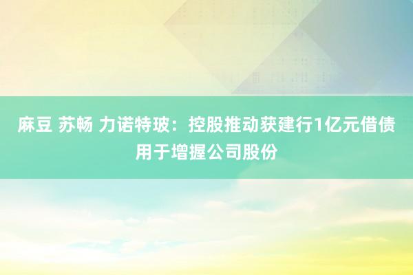 麻豆 苏畅 力诺特玻：控股推动获建行1亿元借债用于增握公司股份