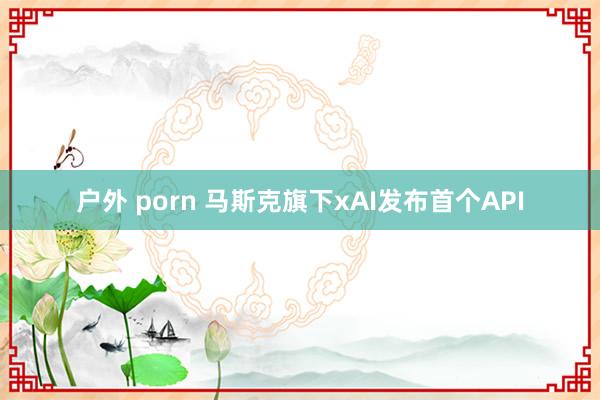 户外 porn 马斯克旗下xAI发布首个API