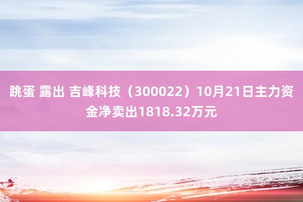 跳蛋 露出 吉峰科技（300022）10月21日主力资金净卖出1818.32万元