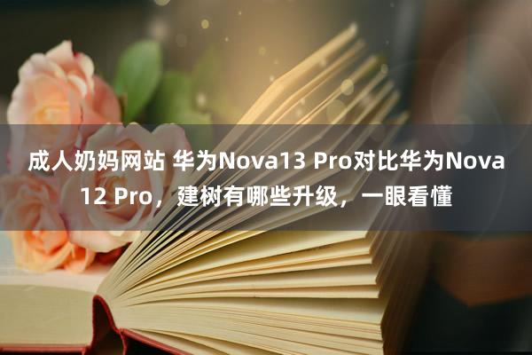 成人奶妈网站 华为Nova13 Pro对比华为Nova12 Pro，建树有哪些升级，一眼看懂