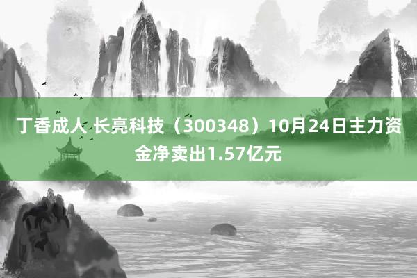 丁香成人 长亮科技（300348）10月24日主力资金净卖出1.57亿元