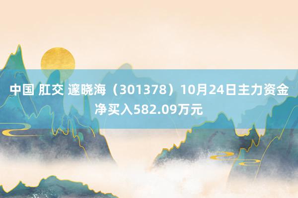 中国 肛交 邃晓海（301378）10月24日主力资金净买入582.09万元