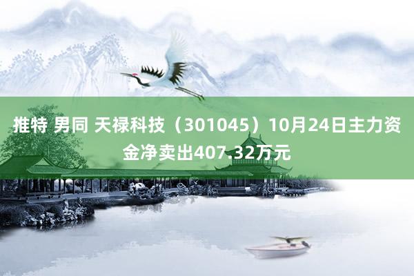 推特 男同 天禄科技（301045）10月24日主力资金净卖出407.32万元