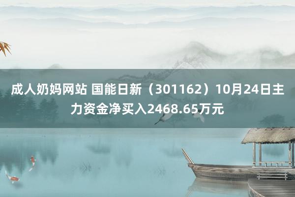 成人奶妈网站 国能日新（301162）10月24日主力资金净买入2468.65万元