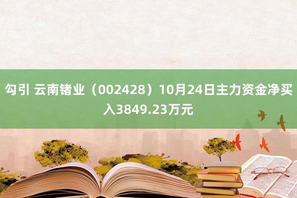 勾引 云南锗业（002428）10月24日主力资金净买入3849.23万元