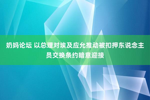 奶妈论坛 以总理对埃及应允推动被扣押东说念主员交换条约暗意迎接