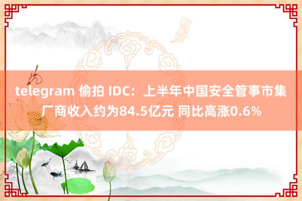 telegram 偷拍 IDC：上半年中国安全管事市集厂商收入约为84.5亿元 同比高涨0.6%