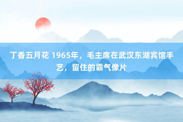 丁香五月花 1965年，毛主席在武汉东湖宾馆手艺，留住的霸气像片