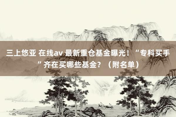 三上悠亚 在线av 最新重仓基金曝光！“专科买手”齐在买哪些基金？（附名单）