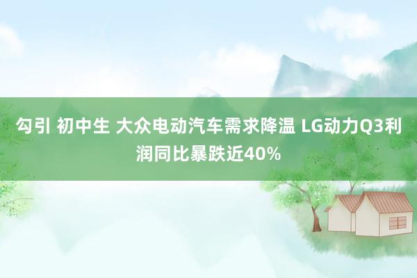 勾引 初中生 大众电动汽车需求降温 LG动力Q3利润同比暴跌近40%