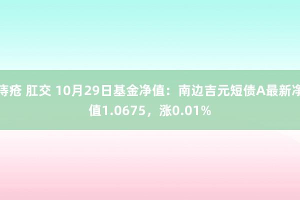 痔疮 肛交 10月29日基金净值：南边吉元短债A最新净值1.0675，涨0.01%