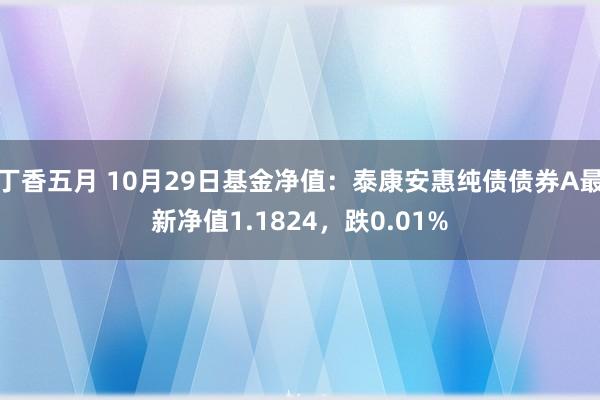 丁香五月 10月29日基金净值：泰康安惠纯债债券A最新净值1.1824，跌0.01%