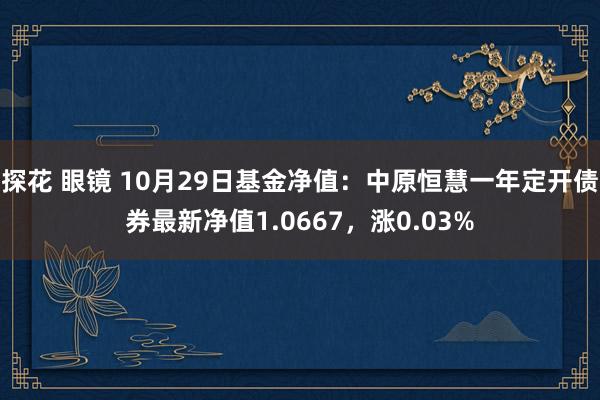 探花 眼镜 10月29日基金净值：中原恒慧一年定开债券最新净值1.0667，涨0.03%