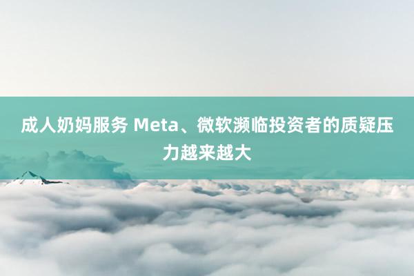 成人奶妈服务 Meta、微软濒临投资者的质疑压力越来越大