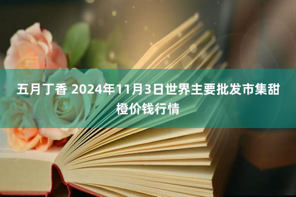 五月丁香 2024年11月3日世界主要批发市集甜橙价钱行情