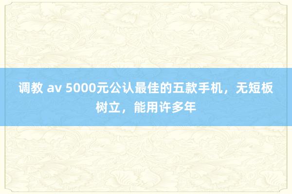 调教 av 5000元公认最佳的五款手机，无短板树立，能用许多年