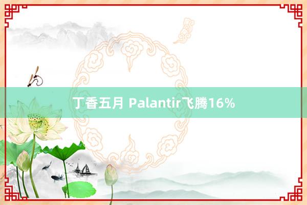 丁香五月 Palantir飞腾16%