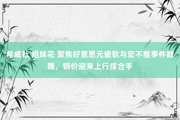 希威社 姐妹花 聚焦好意思元疲软与宏不雅事件鼓舞，铜价迎来上行撑合手