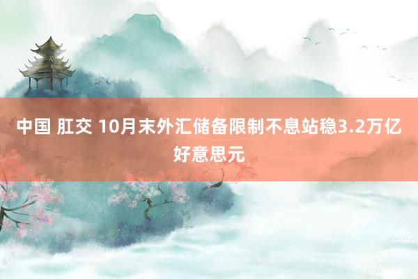 中国 肛交 10月末外汇储备限制不息站稳3.2万亿好意思元