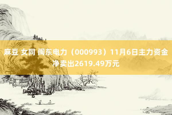 麻豆 女同 闽东电力（000993）11月6日主力资金净卖出2619.49万元