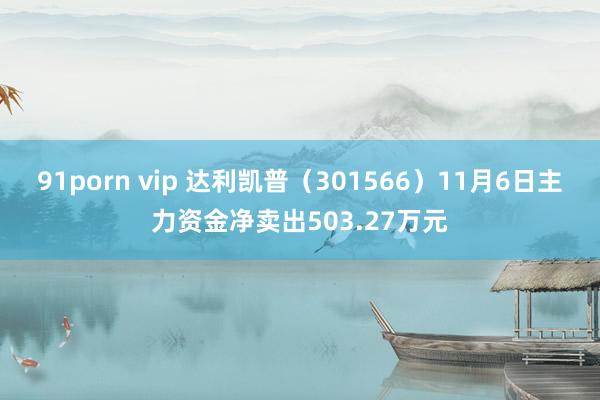 91porn vip 达利凯普（301566）11月6日主力资金净卖出503.27万元