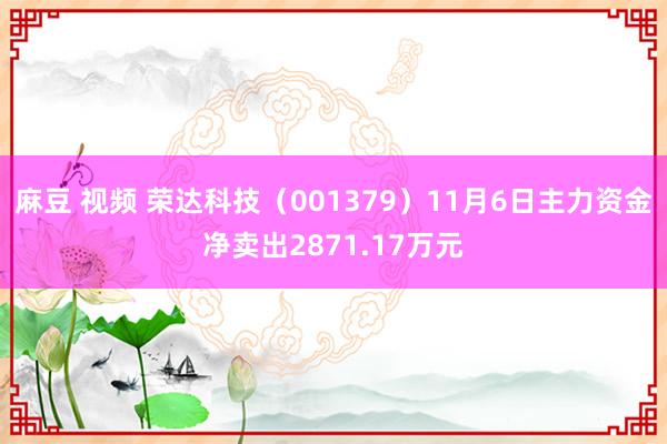 麻豆 视频 荣达科技（001379）11月6日主力资金净卖出2871.17万元