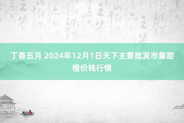 丁香五月 2024年12月1日天下主要批发市集甜橙价钱行情