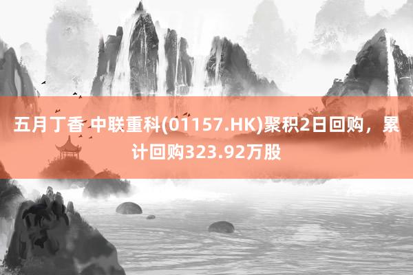 五月丁香 中联重科(01157.HK)聚积2日回购，累计回购323.92万股