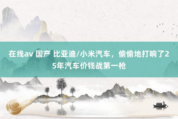 在线av 国产 比亚迪/小米汽车，偷偷地打响了25年汽车价钱战第一枪