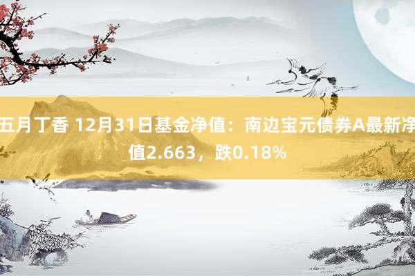 五月丁香 12月31日基金净值：南边宝元债券A最新净值2.663，跌0.18%