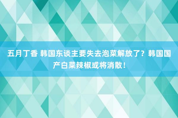 五月丁香 韩国东谈主要失去泡菜解放了？韩国国产白菜辣椒或将消散！