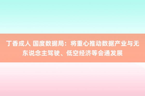 丁香成人 国度数据局：将重心推动数据产业与无东说念主驾驶、低空经济等会通发展