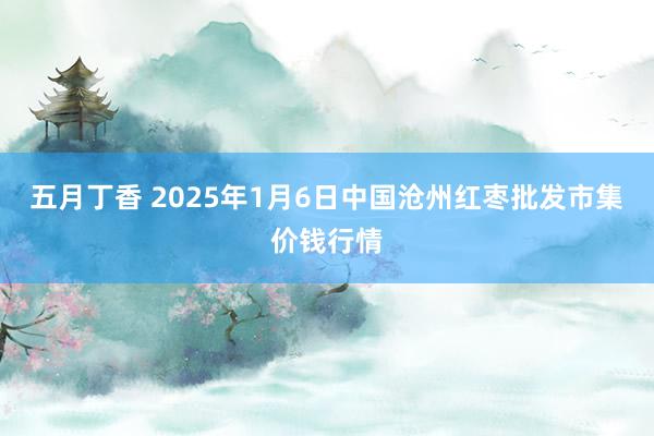 五月丁香 2025年1月6日中国沧州红枣批发市集价钱行情