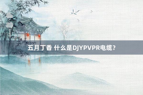 五月丁香 什么是DJYPVPR电缆？