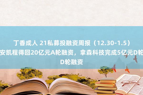 丁香成人 21私募投融资周报（12.30-1.5）：长安凯程得回20亿元A轮融资，拿森科技完成5亿元D轮融资