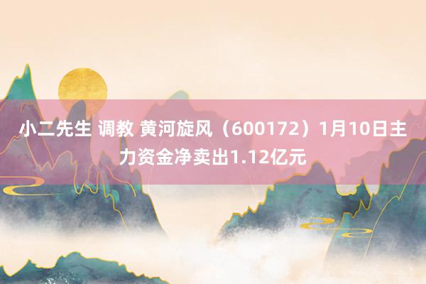 小二先生 调教 黄河旋风（600172）1月10日主力资金净卖出1.12亿元